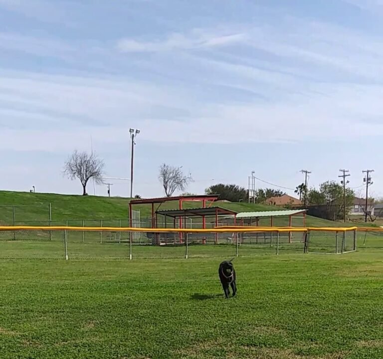 Soccer Field image 4