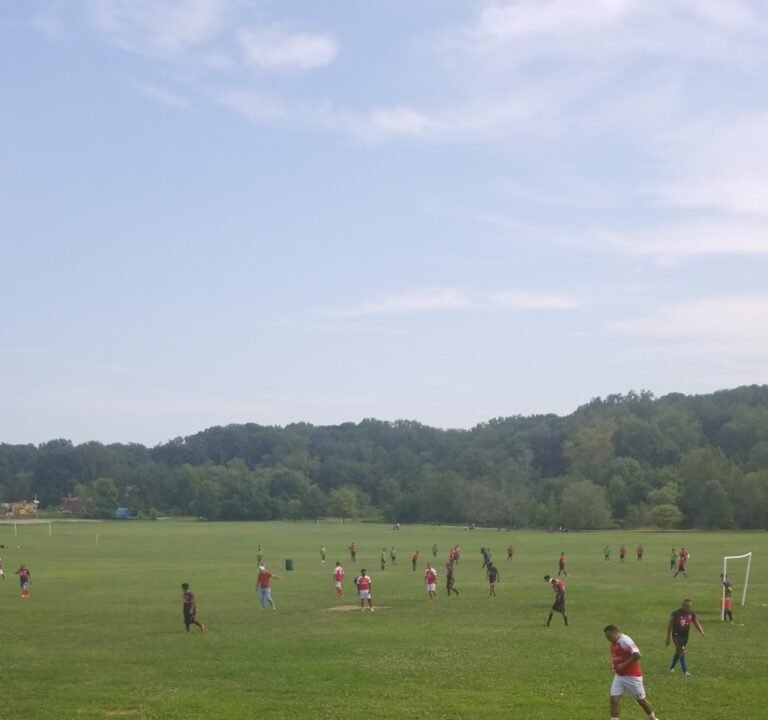 Soccer Field image 3