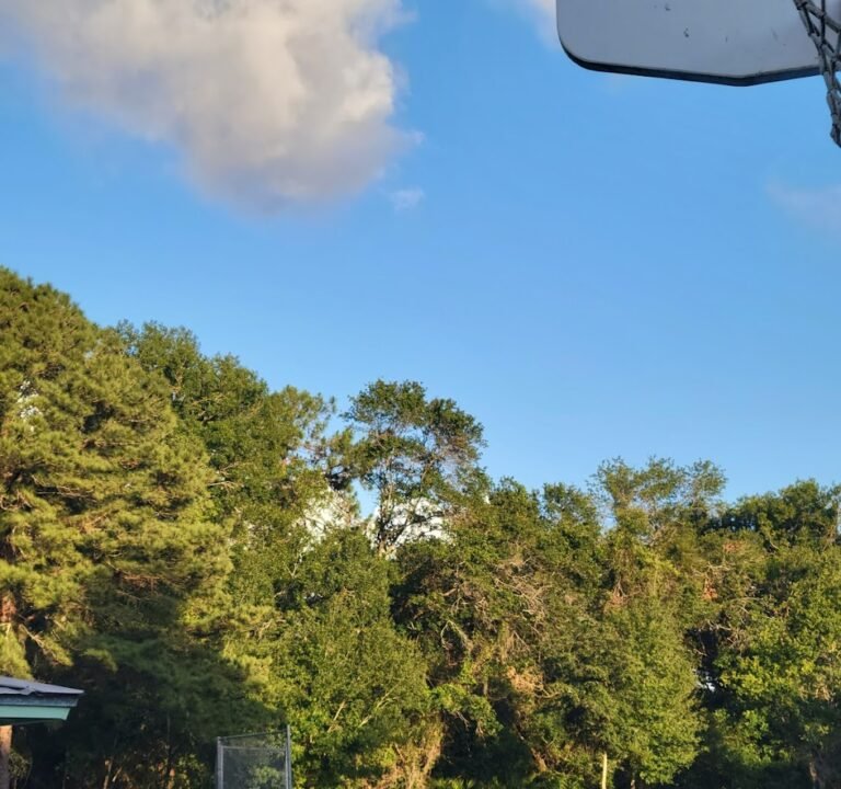 Soccer Field image 2