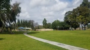 Soccer Field image 1