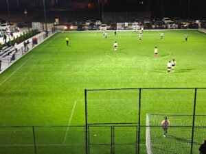Soccer Field image 1