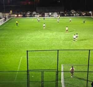 Soccer Field image 2