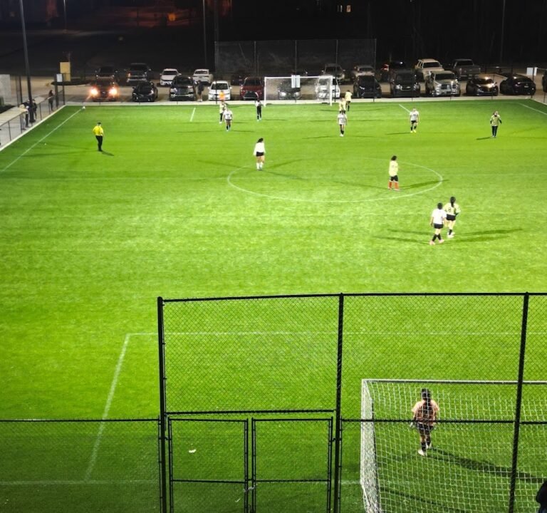 Soccer Field image 2
