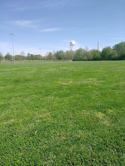 Soccer Field image 1