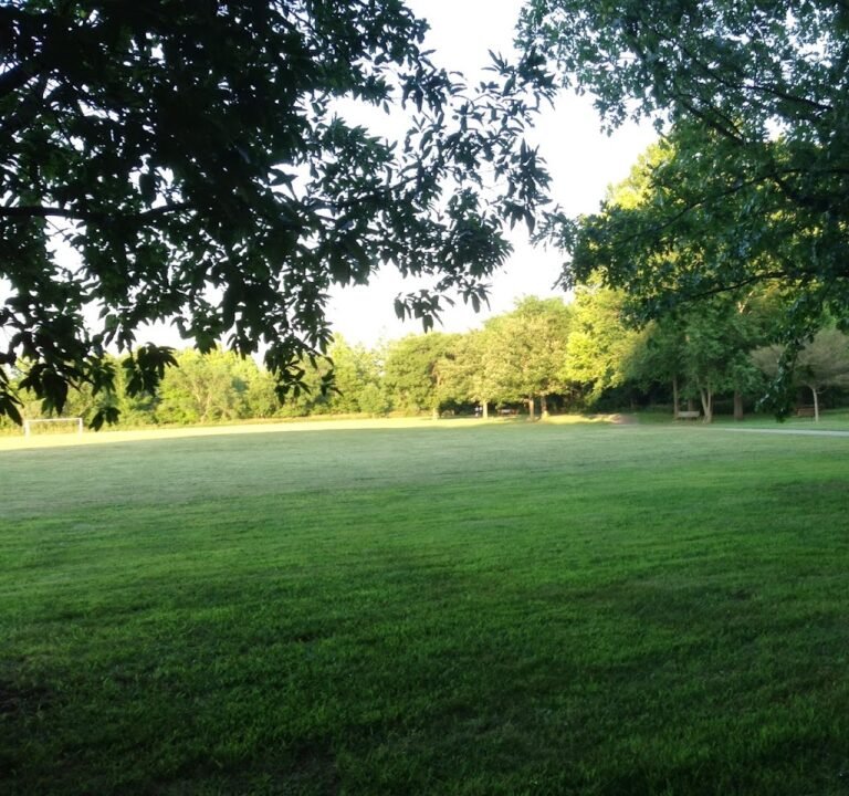 Soccer Field image 2