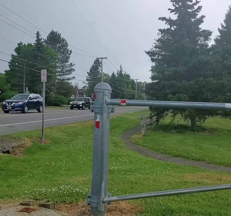 Soccer Field image 4