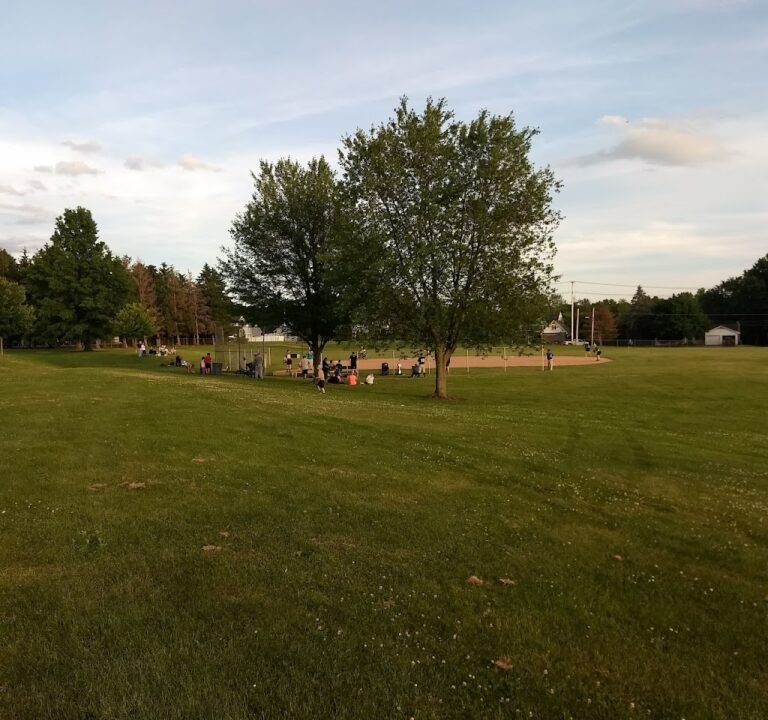 Soccer Field image 2