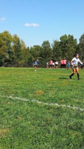 Soccer Field image 1