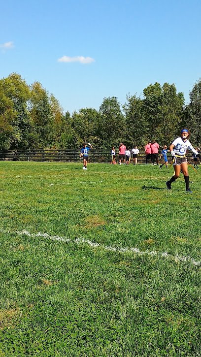 Soccer Field image 1