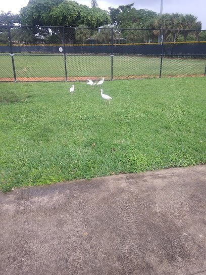 Soccer Field image 1