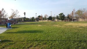Soccer Field image 1
