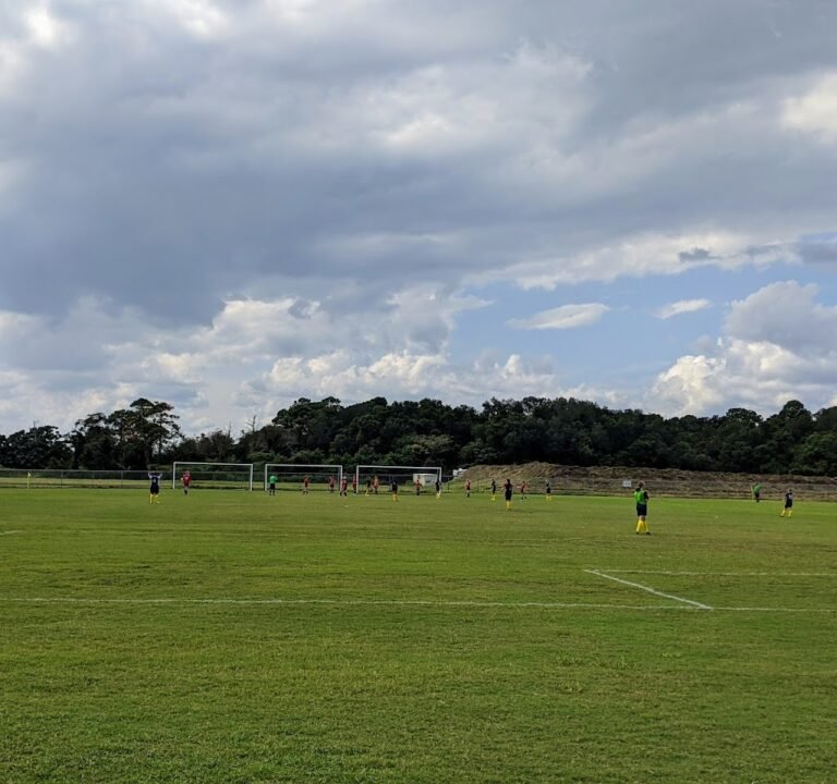 Soccer Field image 2