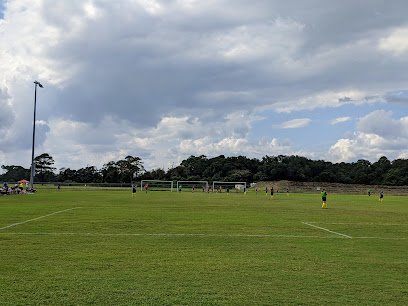 Soccer Field image 1