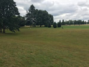 Soccer Field image 1