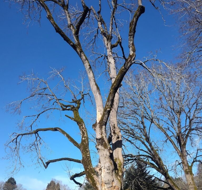 Soccer Field image 3