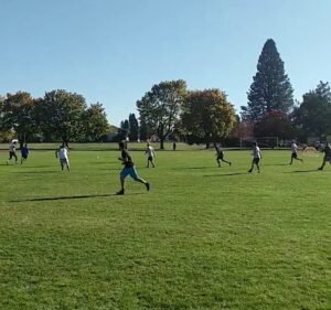 Soccer Field image 4