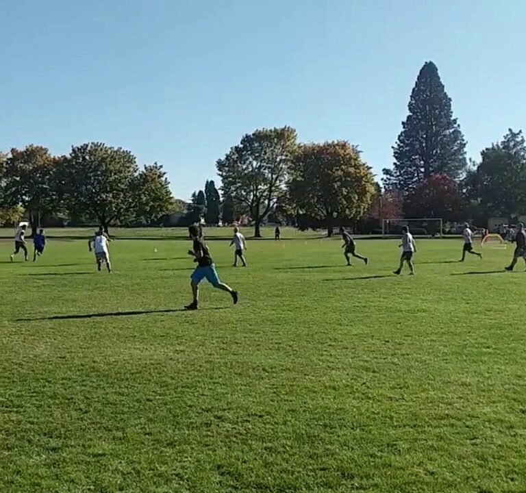 Soccer Field image 4