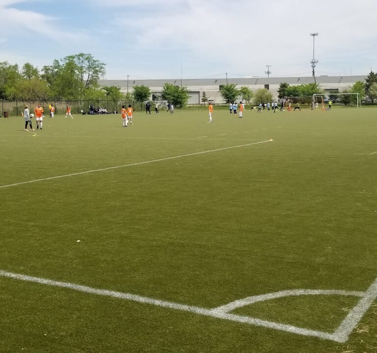 Soccer Field image 2