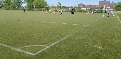 Soccer Field image 1