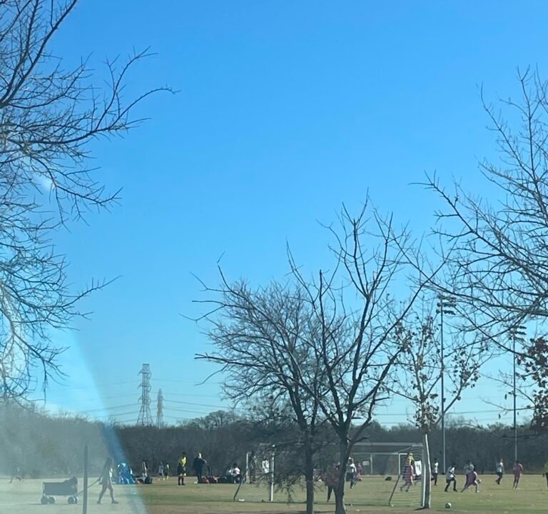 Soccer Field image 2