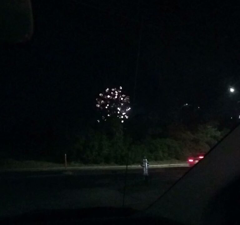 Soccer Field image 3