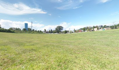 Soccer Field image 1