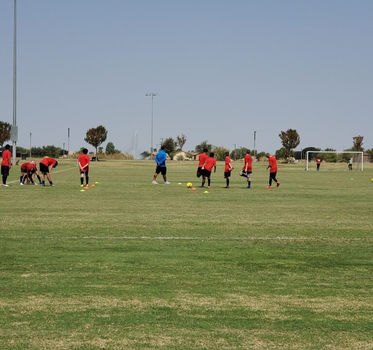 Soccer Field image 2