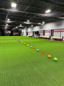 Soccer Field image 1