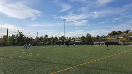 Soccer Field image 1
