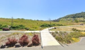 Soccer Field image 1