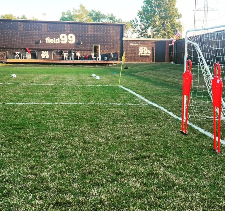 Soccer Field image 2