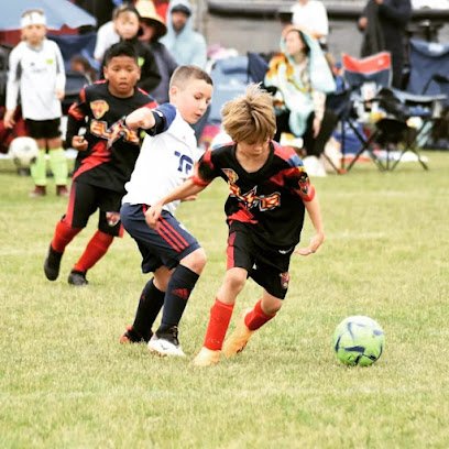 Soccer Field image 1