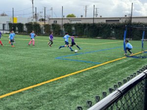 Soccer Field image 1