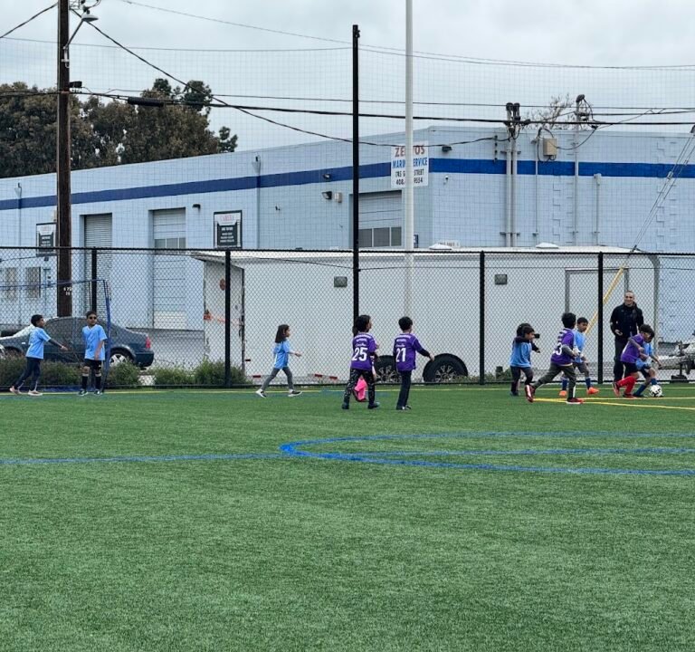 Soccer Field image 2