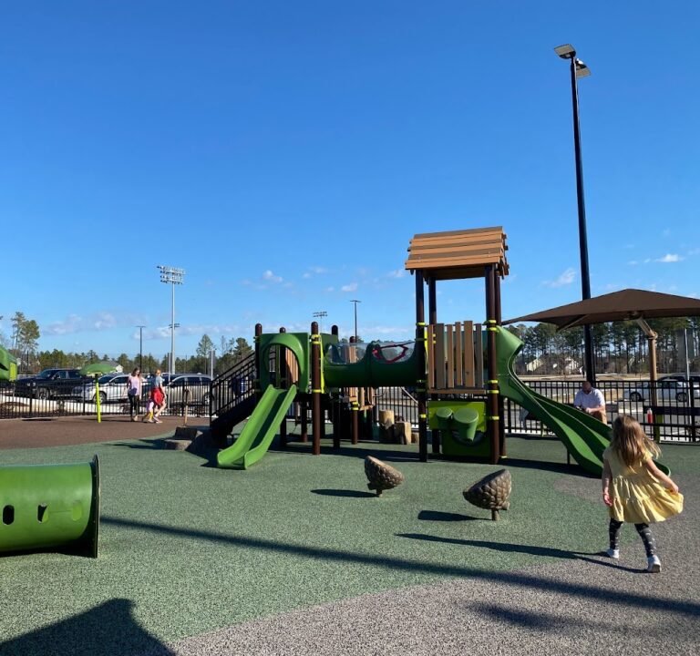 Soccer Field image 2