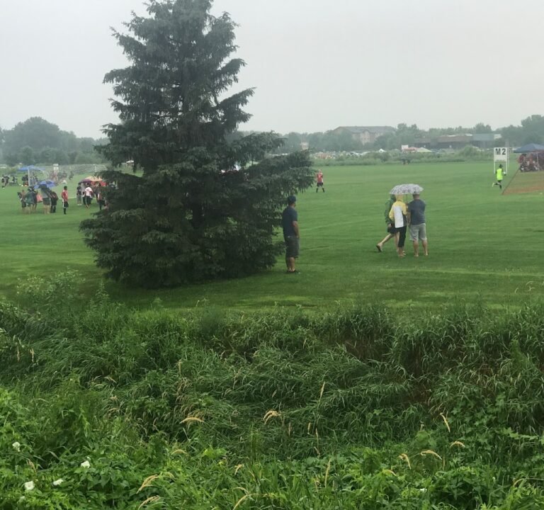 Soccer Field image 2