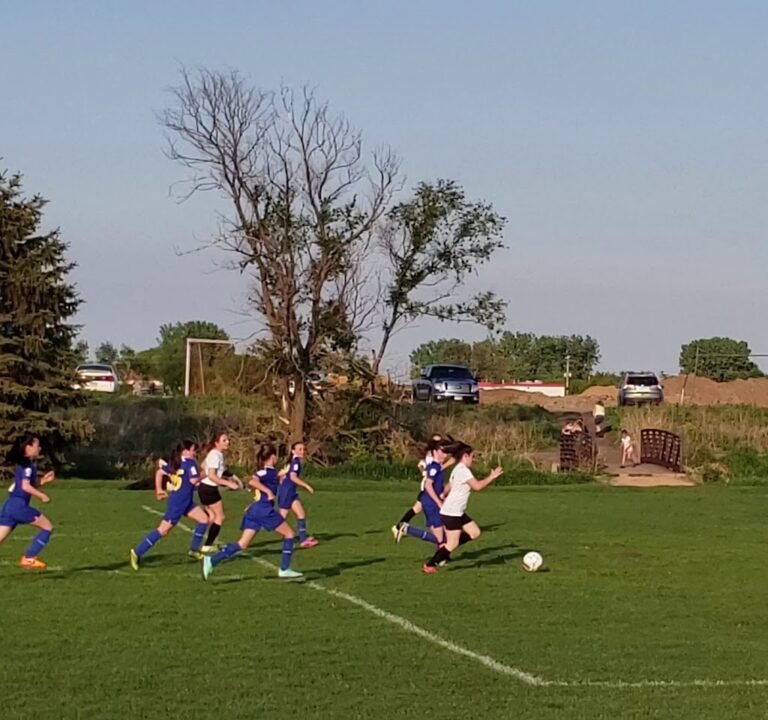 Soccer Field image 3