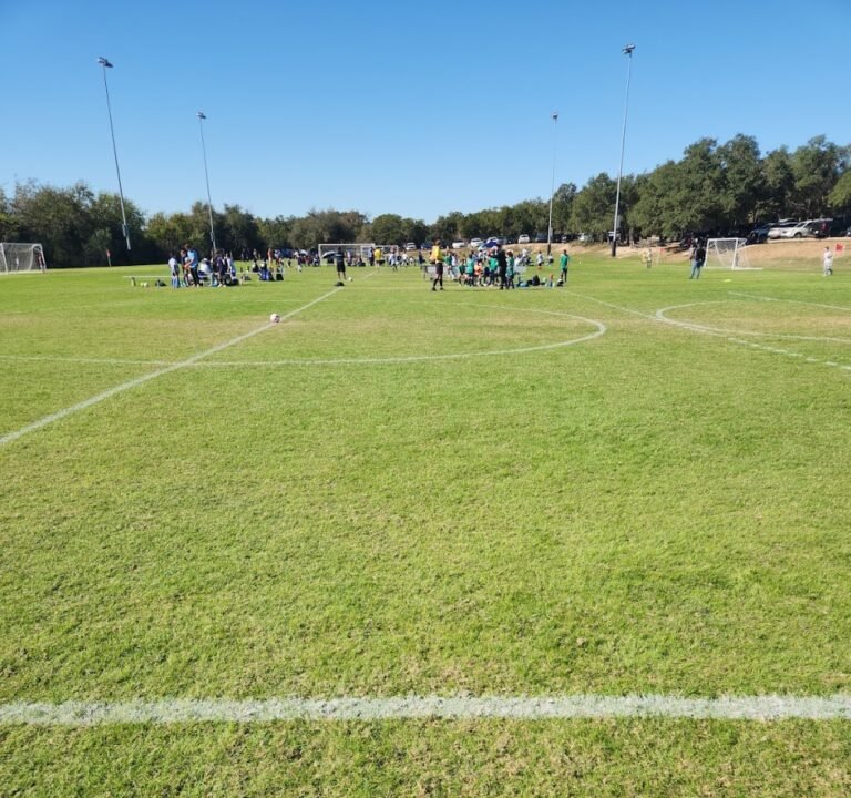 Soccer Field image 2