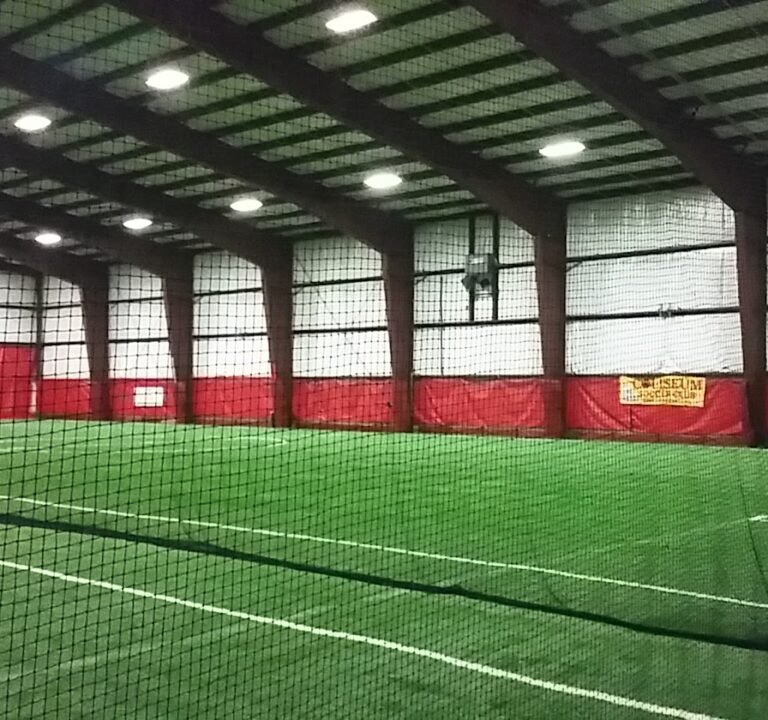 Soccer Field image 2