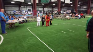Soccer Field image 1