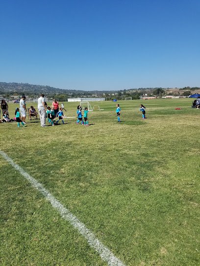 Soccer Field image 1