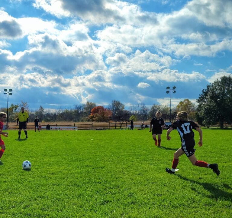 Soccer Field image 2