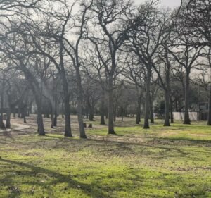 Soccer Field image 3