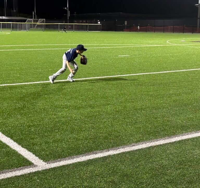 Soccer Field image 2