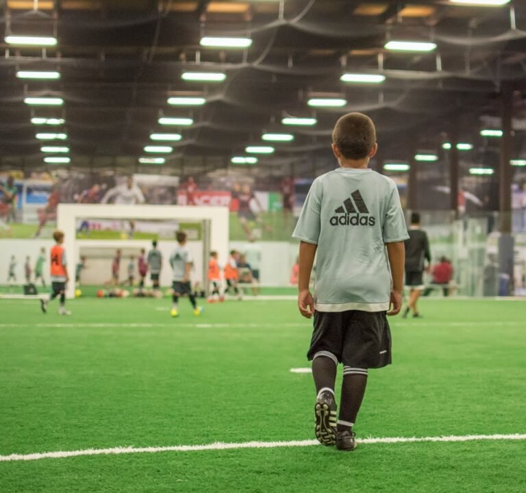 Soccer Field image 2