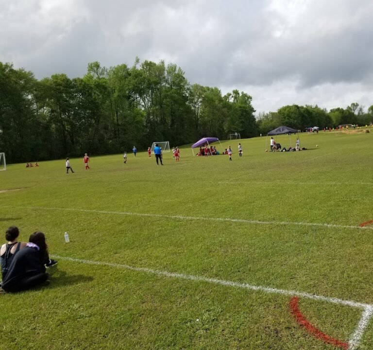 Soccer Field image 3