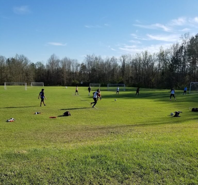 Soccer Field image 2