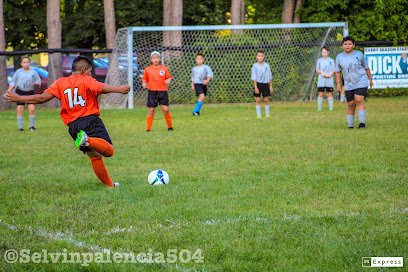 Soccer Field image 1