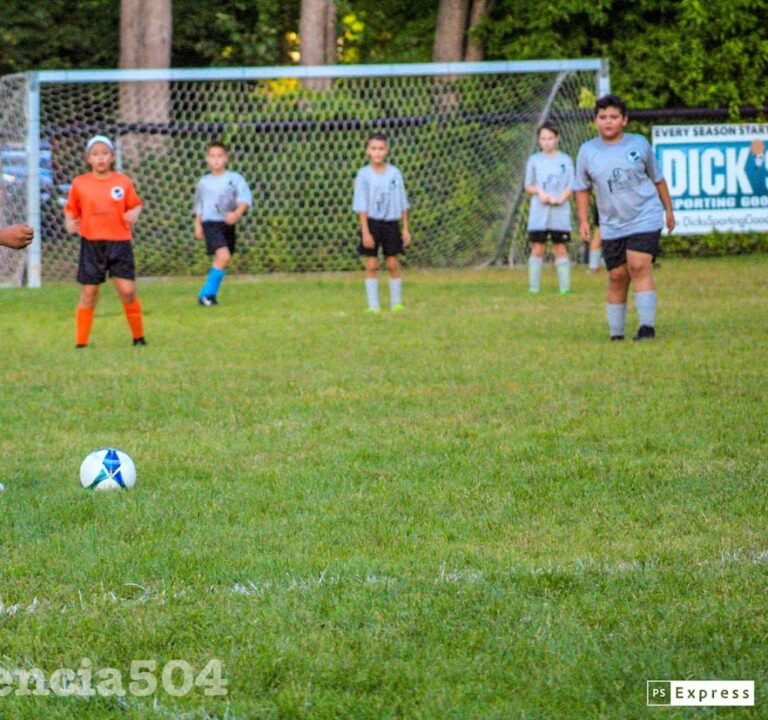 Soccer Field image 3