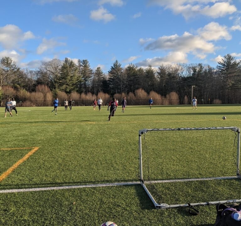 Soccer Field image 2